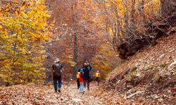Gaziantep’te renk cümbüşü büyüledi