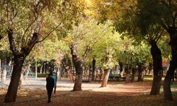 Sonbahar Gaziantep'te kartpostallık görüntüler oluşturdu