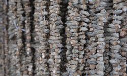 Gaziantep'te bamya mevsimi açıldı