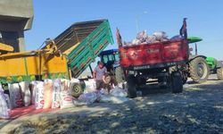 Makarnalık ve baklavalık buğday sezonu açıldı