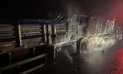 Mısır yüklü tır alev aldı