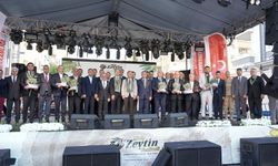 Nizip Zeytin Festivali’ne yoğun ilgi