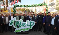Nizip’te Zeytin Festivali renkli etkinliklerle başladı