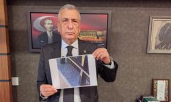 Öztürkmen: Üvez istilasını görmezden gelemezsiniz