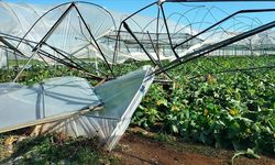 Antalya'da hortum nedeniyle 4 sera hasar gördü