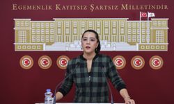 Sevda Karaca'dan  asgari ücret resti