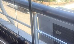 Şehrin her noktasından üvez şikâyeti geliyor