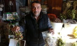 Aktarlarda yoğunluk arttı