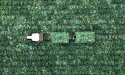 Çiftçi Kayıt Sistemi'ne başvurmak için son tarih 31 Aralık