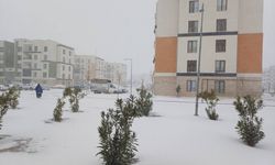 Çiftçilerin yüzü güldü