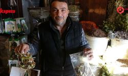 Aktarlarda yoğunluk arttı