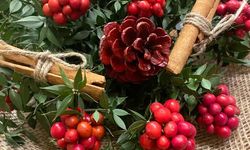 Yalnızca Aralık ayında ortaya çıkan bereket