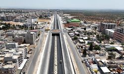 İsviçre çakısı gibi başkan yardımcısı