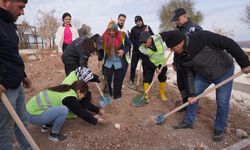 Oğuzeli'nde ağaçlandırma seferberliği başladı