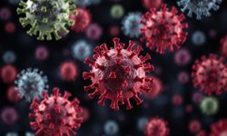 İmmün yetmezlikte kritik belirti