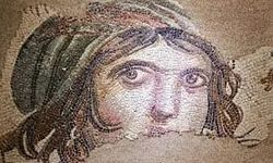 Zeugma mozaik müzesi giriş ücreti?