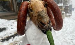 Kardan kuzu yaptılar