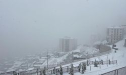 Kar nedeni ile 61 yol ulaşıma kapandı