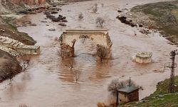 Araban Ovası’nda su seviyesi yükseldi