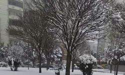 Gaziantep Beyaza Büründü