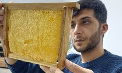 Araban balına yoğun ilgi