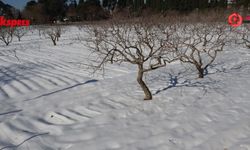 Gaziantep’te kar yağışı tarıma nefes aldırdı