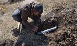 Gaziantep'te üç yeni endemik fare türü keşfedildi