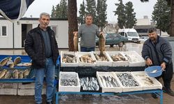 Gaziantep’te balığa talep arttı