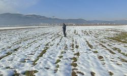 Gaziantep’te kar, çiftçiye can suyu oldu