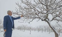 Araban'da kar yağışı çiftçinin sevindirdi