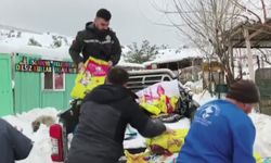 Kaymakam Soylu barınaktaki sahipsiz hayvanları unutmadı