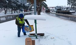 Nurdağı'nda sokak hayvanlarına mama desteği