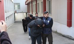 Sazan sarmalı dolandırıcılık şebekesi çökertildi