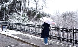 Meteoroloji açıkladı: Soğuklar için tarih verildi