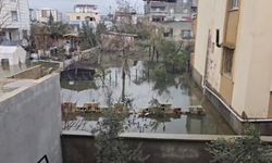 Gaziantep’te evleri su bastı