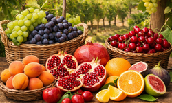 Gaziantep’te Hangi Meyveler Yetişir?