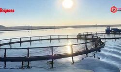 Fatma Şahin Karkamış için yeni projeyi açıkladı