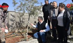 Gaziantep’te çiftçiye budama desteği