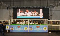 Güvercin tutkunları Gaziantep'te buluştu