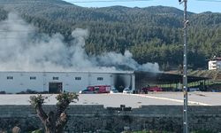 İslahiye’de biber fabrikasında korkutan yangın