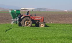 İslahiye'de yağışlar çiftçiye umut oldu