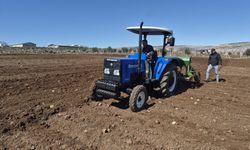 Gaziantep’te Nohut Ekim Sezonu Başladı