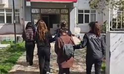 Şehir şehir gezen hırsızlık şebekesi çökertildi