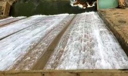 Ardıl Barajı Taştı, Çiftçinin Yüzü Güldü