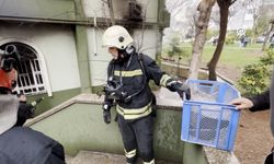 Gaziantep'te cami yangınında minik dostlar kurtarıldı