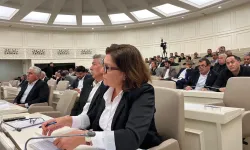 Fadime Sayın: “Kadın cinayetleri bitmeden 8 Mart kutlamalarını kabul etmiyorum”