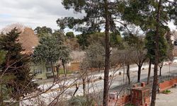 Gaziantep’te Bayramın 1. Günün hava durumu nasıl olacak