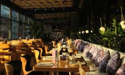 Restoran ve kafelerde menüde alerjen zorunluluğu