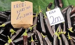 Gaziantep’te pazarda patlıcan 4 taksitle satılıyor