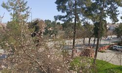 Gaziantep’te 5 Nisan’da hava nasıl olacak?